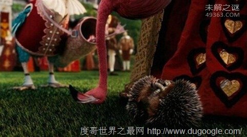 什么是红皇后假说：生物进化一直存在从未停止