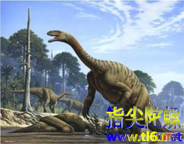 十大最强食草恐龙排名,食草恐龙三角龙可以吊打霸王龙