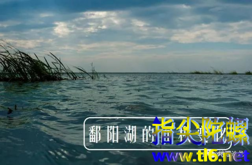 我国第一大淡水湖鄱阳湖在哪个省？鄱阳湖水位下降原因